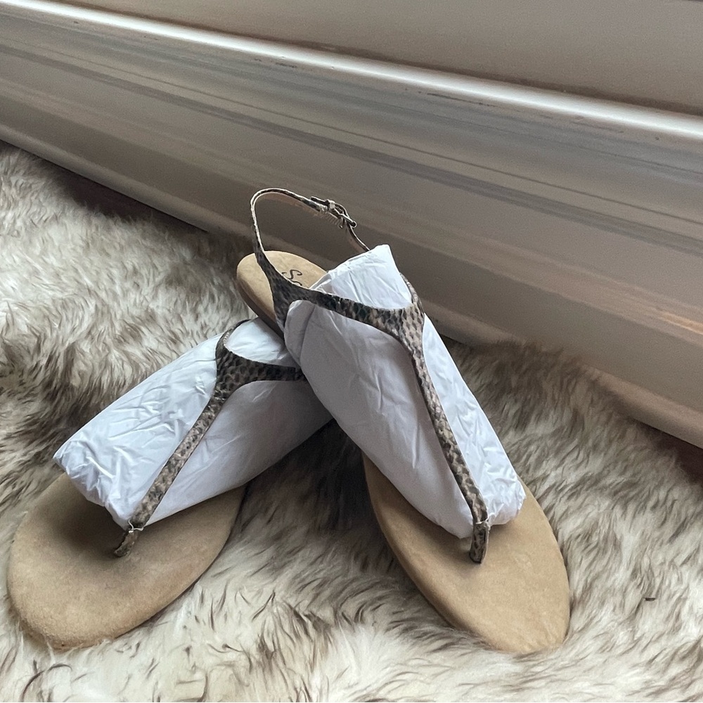Splendid Leopard T Strap with Sandals